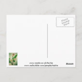 Three Calla Lilies Atemberaubend Botanical Acrylic Postkarte (Rückseite)