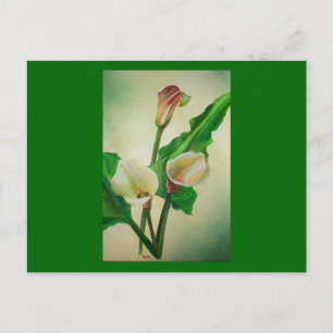 Three Calla Lilies Atemberaubend Botanical Acrylic Postkarte