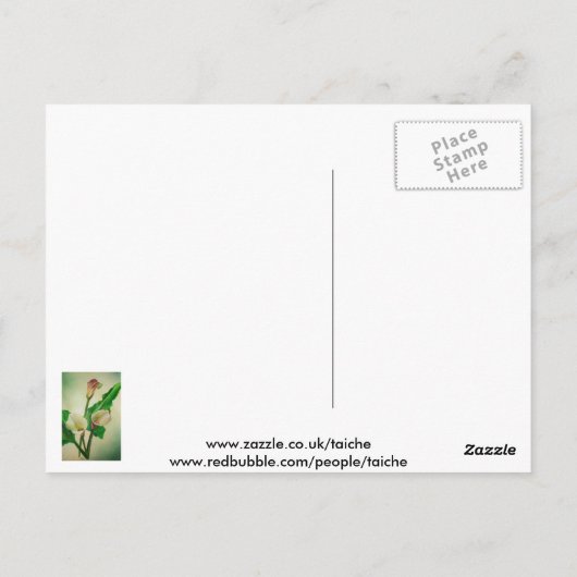 Three Calla Lilies Atemberaubend Botanical Acrylic Postkarte (Rückseite)