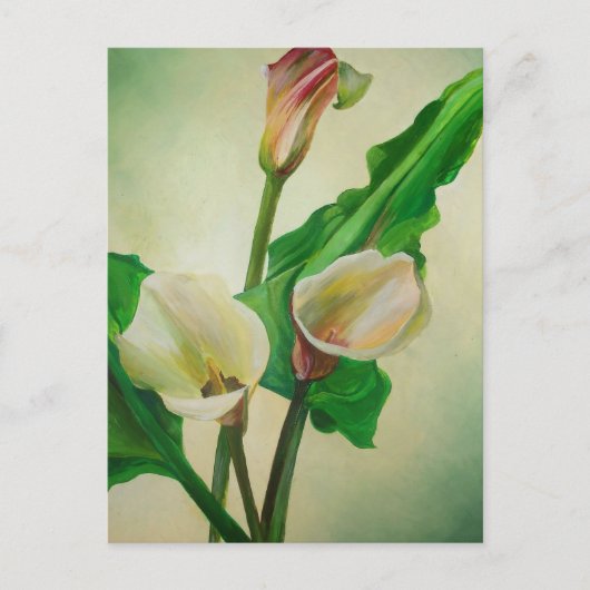 Three Calla Lilies Atemberaubend Botanical Acrylic Postkarte (Vorderseite)
