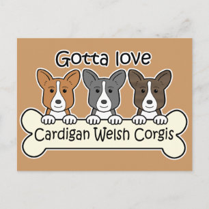 Three Cardigan Welsh Corgis Postkarte