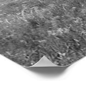 Three Chiefs Piegan Blackfeet Indianeramerikaner Poster (Ecke)