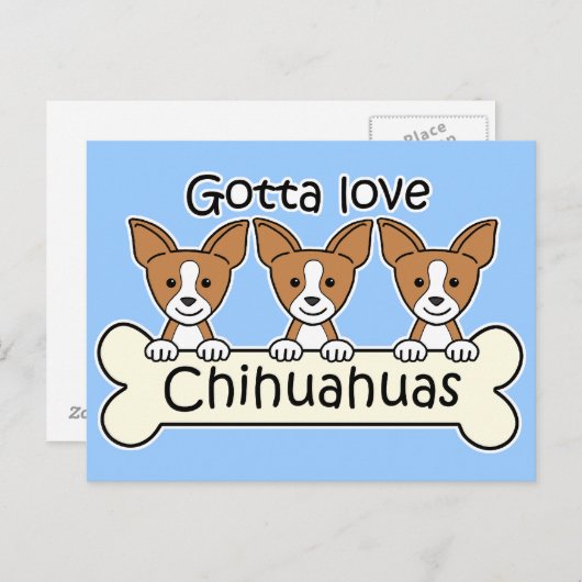 Three Chihuahuas Postkarte (Vorne/Hinten)