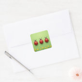 Three Colorful Ladybugs Quadratischer Aufkleber (Umschlag)