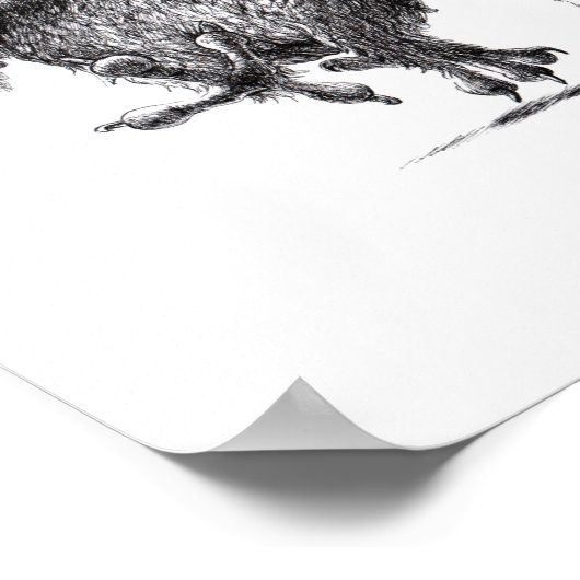 Three Crazy Owls - Corujas - Weißschneeeule Poster (Ecke)