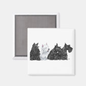 Three Curious Scotties und a Westie Magnet (Vorderseite/Rückseite)
