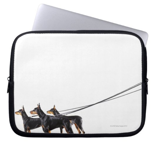 Three Dobermans on leash Laptopschutzhülle (Vorderseite)