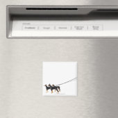 Three Dobermans on leash Magnet (In Situ (Geschirrspüler))