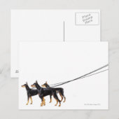 Three Dobermans on leash Postkarte (Vorne/Hinten)
