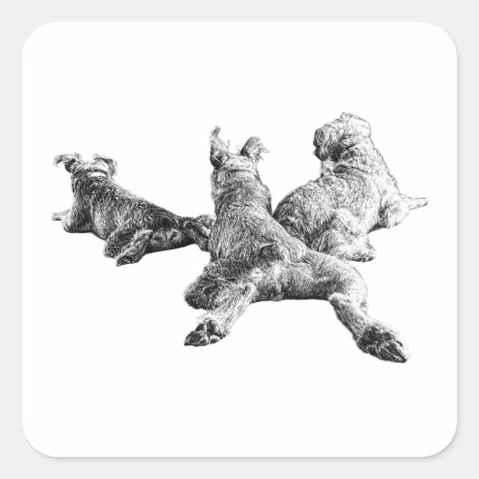 Three Dogs Sticker – Relaxed Trio from Behind (Vorderseite)