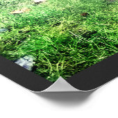 Three Friendly Baby Deer Poster (Ecke)