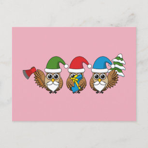 Three Funny Christmas Gnome Owls Feiertagspostkarte