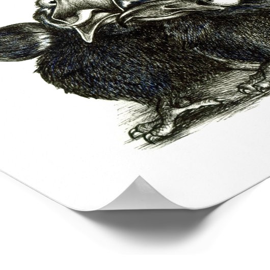 Three Funny Ravens - One Red Feather Poster (Ecke)