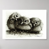 Three Funny Young Owls handgezeichnet Fine Arts Poster (Vorne)