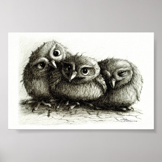 Three Funny Young Owls handgezeichnet Fine Arts Poster (Vorne)