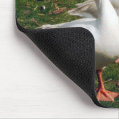 Three Gänse a Strutting - Mousemat. Anpassen. Mousepad (Ecke)