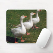 Three Gänse a Strutting - Mousemat. Anpassen. Mousepad (Mit Mouse)