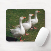 Three Gänse a Strutting - Mousemat. Anpassen. Mousepad (Mit Mouse)