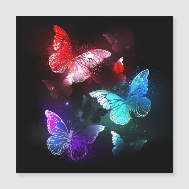 Three Glowing Butterflies on night background Magnetkarte (Vorderseite)