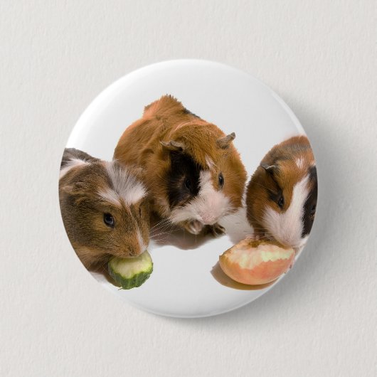three guinea pigs who eat, button (Vorderseite)
