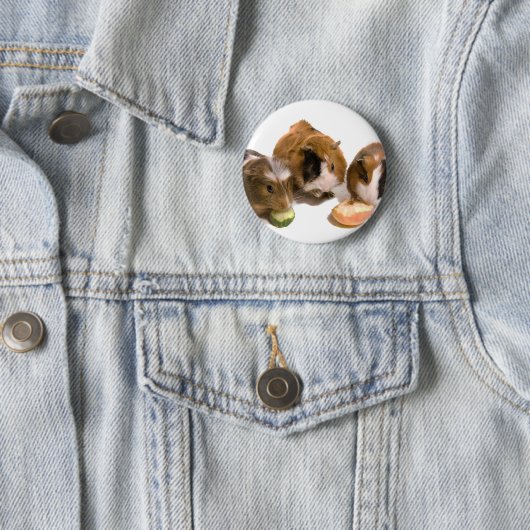 three guinea pigs who eat, button (Beispiel)