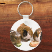Three guinea pigs who eat schlüsselanhänger (Vorderseite)
