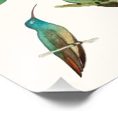 Three Hummingbirds  Fotodruck (Ecke)