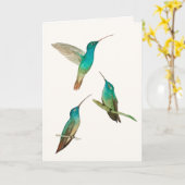 Three Hummingbirds Greeting Card Karte (Gelbe Blume)