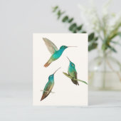 Three Hummingbirds  Postkarte (Stehend Vorderseite)