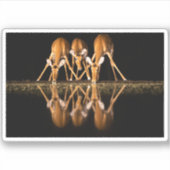 Three Impala Drink Together at Night Aufkleber (Vorderseite)