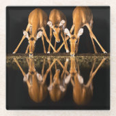 Three Impala Drink Together at Night Glasuntersetzer (Vorderseite)