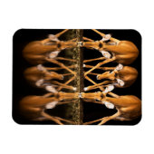 Three Impala Drink Together at Night Magnet (Horizontal)