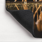 Three Impala Drink Together at Night Mousepad (Ecke)