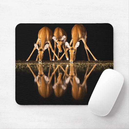 Three Impala Drink Together at Night Mousepad (Mit Mouse)