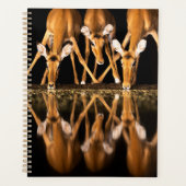 Three Impala Drink Together at Night Planer (Vorderseite)