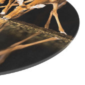 Three Impala Drink Together at Night Schneidebrett (Ecke)