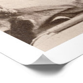 Three Indian Braves, Fotograf von der Royal Eng Poster (Ecke)