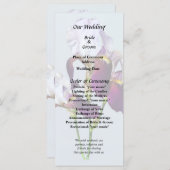 Three Irises in Shades of Magenta Programm (Vorne/Hinten)