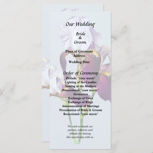 Three Irises in Shades of Magenta Programm (Vorne/Hinten)