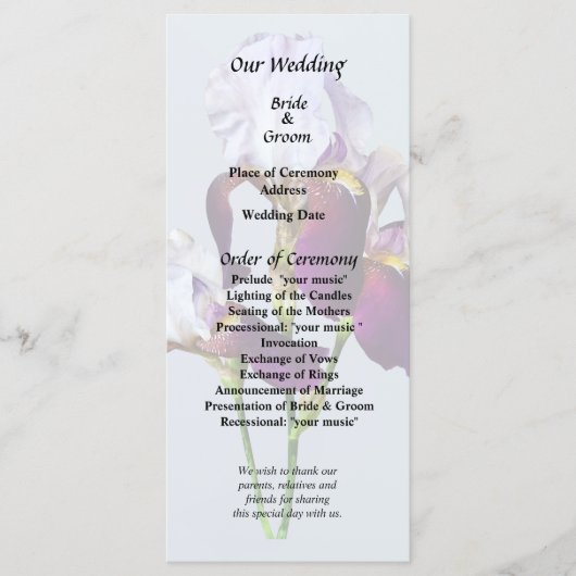 Three Irises in Shades of Magenta Programm (Vorderseite)