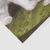 Three Jolly Kittens am Fest Seidenpapier (Ausschnitt)