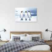 Three King Penguins Leinwanddruck (Insitu (Schlafzimmer))