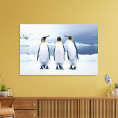 Three King Penguins Leinwanddruck (Insitu (Wohnzimmer))