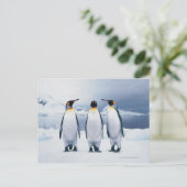 Three King Penguins Postkarte (Stehend Vorderseite)