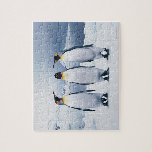 Three King Penguins Puzzle (Vertikal)