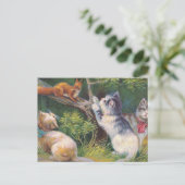"Three Kittens and a Squirrel" Vintage Postkarte (Stehend Vorderseite)