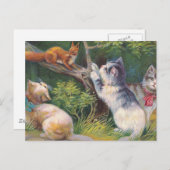 "Three Kittens and a Squirrel" Vintage Postkarte (Vorne/Hinten)