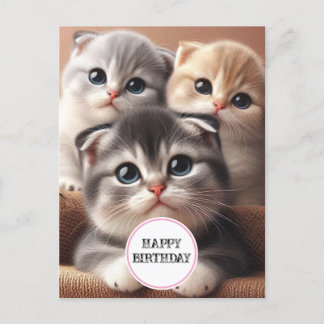 Three Kittens Happy Birthday Postcard Postkarte
