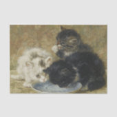 Three Kittens von Henriette Ronner Knip Seidenpapier (Vorderseite)