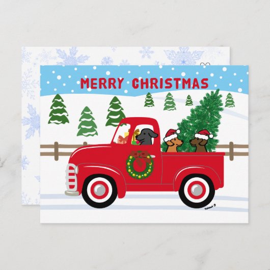 Three Labradors Red Truck Weihnachten (Vorne/Hinten)